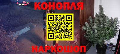 apvp Свободный
