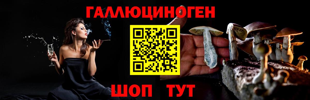 Псилоцибиновые грибы мухоморы Орехово-Зуево